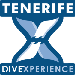 Tenerife Dive Experience