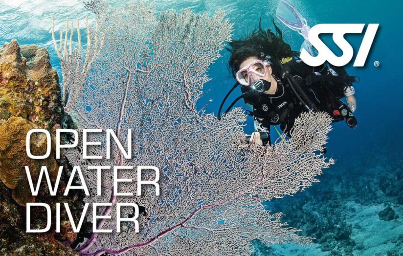 View Open Water Diver Course